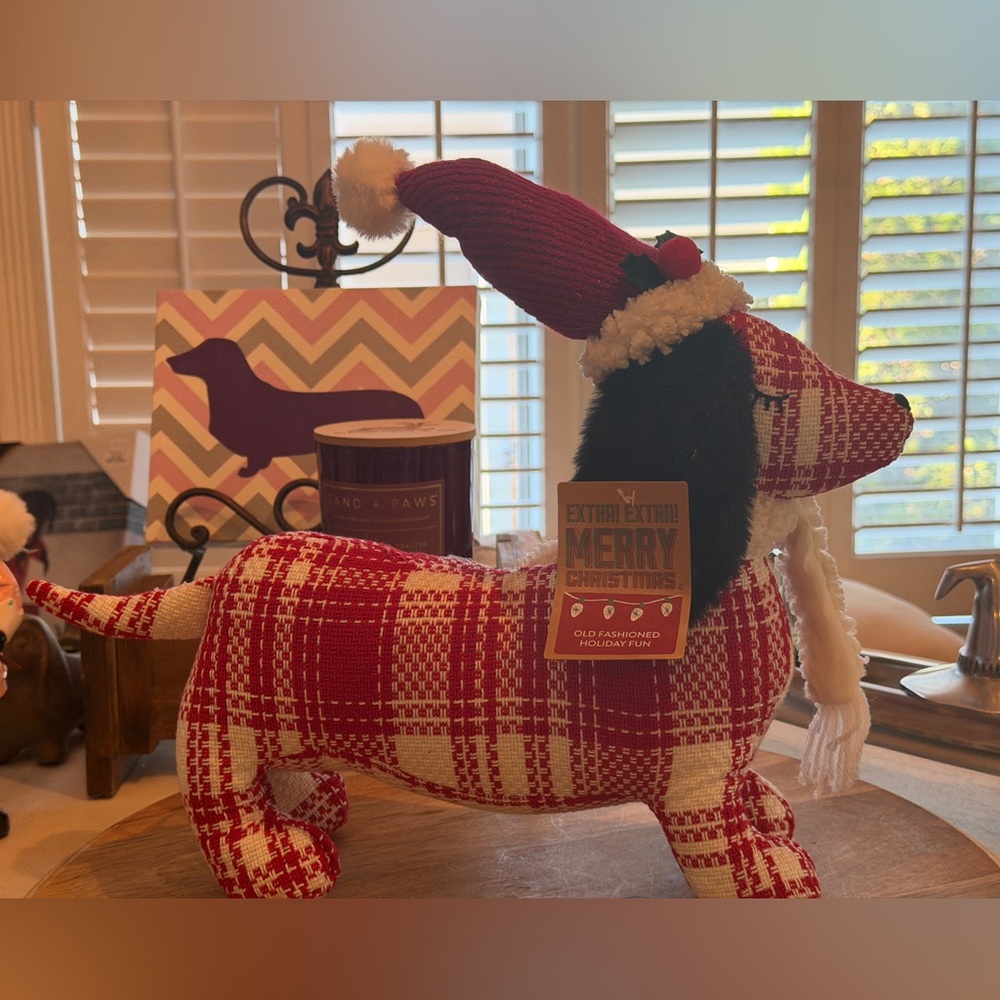 Christmas dachshund wearing sparkly red hat trimmed with holly & a fringed scarf